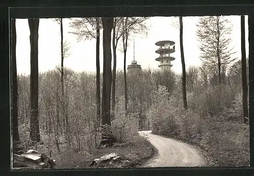 AK Bungsberg /Holst. Schweiz, Ortspartie mit Aussichtsturm