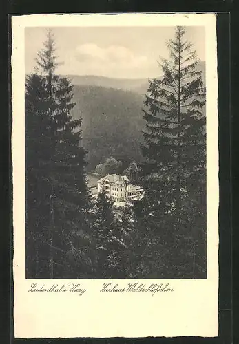 AK Lautenthal i. Harz, Kurhotel Waldschlösschen