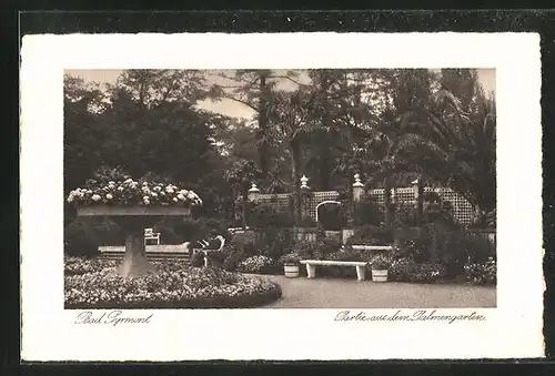 AK Bad Pyrmont, Partie aus dem Palmengarten