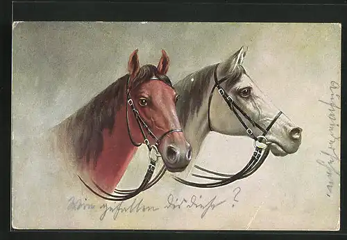 AK Braunes und weisses Pferd im Portrait