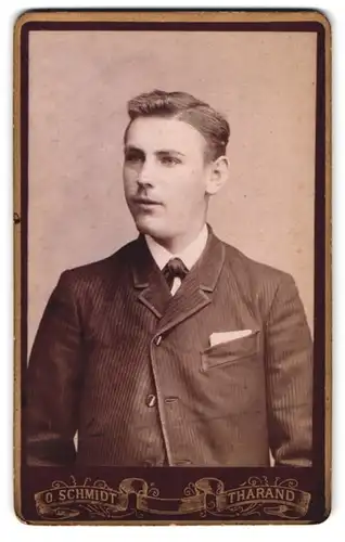 Fotografie O. Schmidt, Tharand, Portrait junger Mann im Nadelstreifenanzug mit Einstecktuch