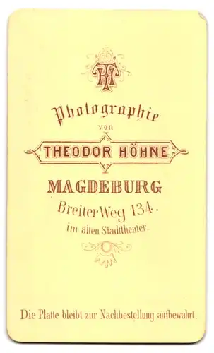 Fotografie Theodor Höhne, Magdeburg, Breiter Weg 134, Portrait Dame im Kleid mit Hochsteckfrisur