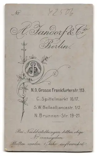 Fotografie A. Jandorf & Co., Berlin, Gr. Frankfurterstr. 113, Knabe mit Glatze & Kerze nachh der Kommunion
