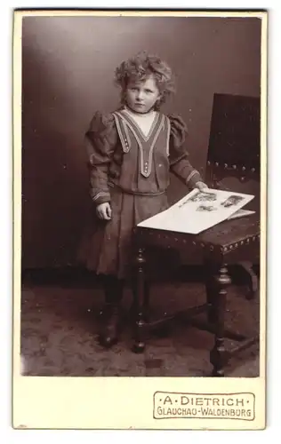 Fotografie A. Dietrich, Waldenburg i. S., Obergasse 29, Mädchen blättert im Katalog