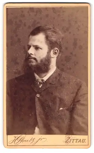 Fotografie H. Strube Junior, Zittau, Lessingstr. 14, Portrait junger Herr mit Vollbart