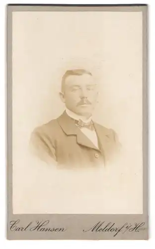 Fotografie Carl Hansen, Meldorf i. H., Zingelstr. 32, Portrait bürgerlicher Herr im Anzug