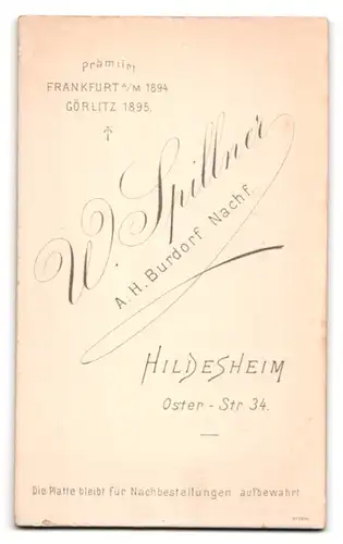 Fotografie W. Spillner, Hildesheim, Osterstr. 34, Portrait hübsche junge Dame im Puffärmelkleid