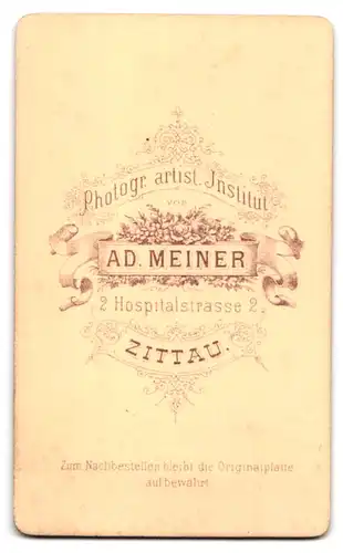 Fotografie A. Meiner, Zittau, Hospitalstrasse 2, Portrait süsses Kleinkind im Kleid