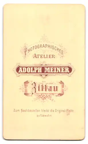 Fotografie Adolph Meiner, Zittau, Portrait kleines Mädchen im modischen Kleid