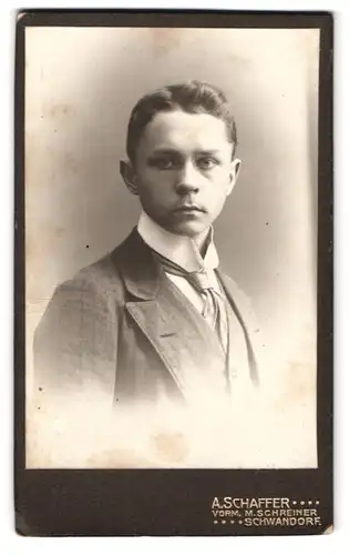 Fotografie A. Schaffer, Schwandorf, Portrait junger Herr im Anzug mit Krawatte