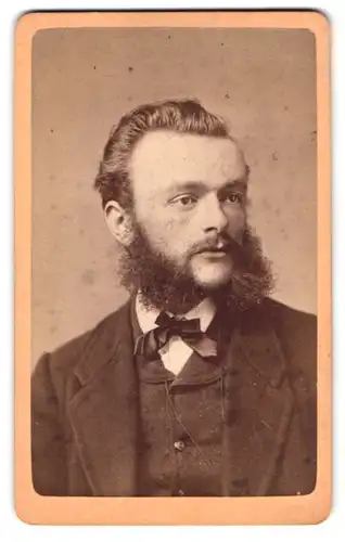 Fotografie A. Berka, Zittau, Ludwigstrasse 501, Portrait junger Herr im Anzug mit Backenbart