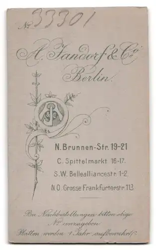 Fotografie A. Jandorf & Co., Berlin, Portrait bürgerlicher Herr mit Oberlippenbart