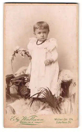 Fotografie Edg. Wallnau, Berlin-N, Müller-Strasse 174, Portrait kleines Mädchen im weissen Kleid