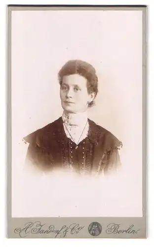 Fotografie A. Jandorf & Co., Berlin-N, Brunnen-Strasse 19-21, Portrait bürgerliche Dame im hübschen Kleid