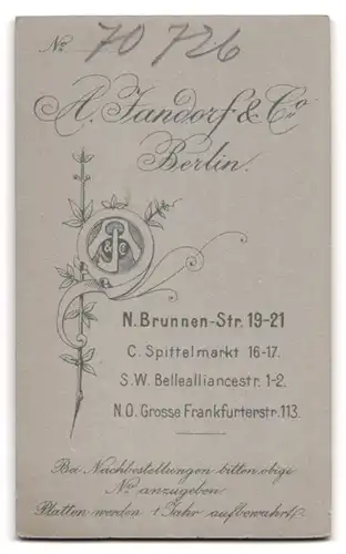 Fotografie A. Jandorf & Co., Berlin-N, Brunnen-Strasse 19-21, Portrait bürgerliche Dame im hübschen Kleid