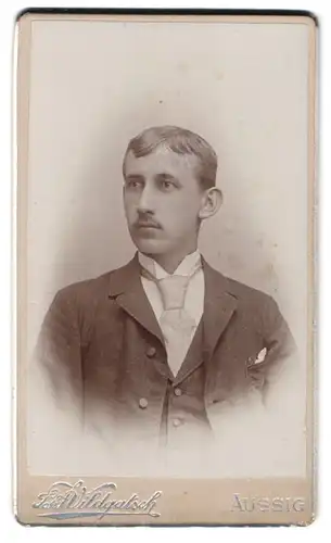 Fotografie J. Wildgatsch, Aussig a. d. Elbe, Teplitzerstrasse 15, Portrait eleganter Herr mit Oberlippenbart