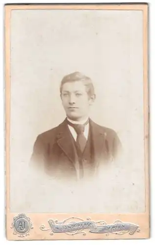 Fotografie A. Jandorf & Co., Berlin, Belle-Alliance-Strasse 1, Portrait junger Mann im Anzug mit Schlips