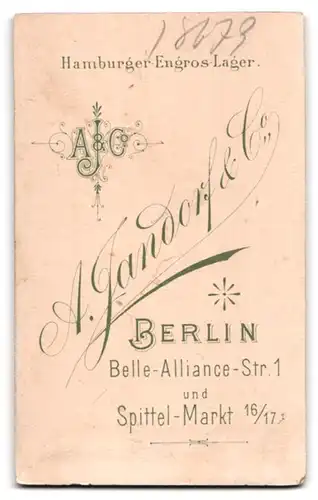 Fotografie A. Jandorf & Co., Berlin, Belle-Alliance-Strasse 1, Portrait junger Mann im Anzug mit Schlips