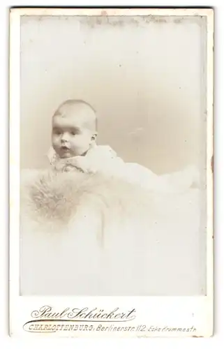 Fotografie Paul Schückert, Charlottenburg, Berlinerstrasse 112, Portrait kleines Kind Horst Hirschberg auf einem Fell