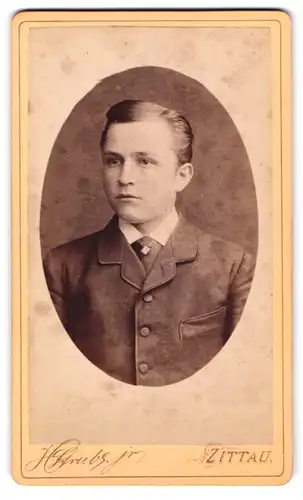 Fotografie H. Struber jr., Zittau, Lessing-Strasse 14, Portrait junger Knabe im Anzug mit Krawatte und gestylten Haaren