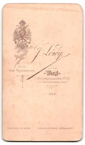 Fotografie J. Löwy, Wien, Weihburggasse 31, bürgerlicher Herr im gestreiften Anzug