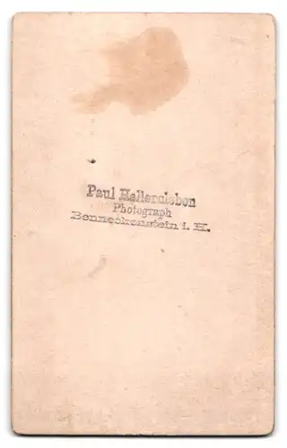 Fotografie Paul Hallensleben, Benneckenstein i. H., Portrait kleines Kind im Kleidchen mit Sabberlatz