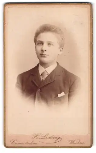 Fotografie H. Ludwig, Crimmitschau, Lindenstr., Junger Mann im Anzug mit weissem Einstecktuch