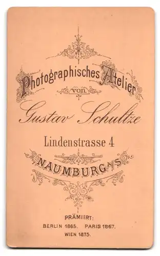 Fotografie Gustav Schultze, Naumburg a. S., Lindenstrasse 4, Portrait Dame mit Buch in tailliertem Kleid