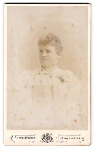 Fotografie G. Schmidbauer, Regensburg, Marschallstr. 51, Portrait Frau in gepufftem Kleid