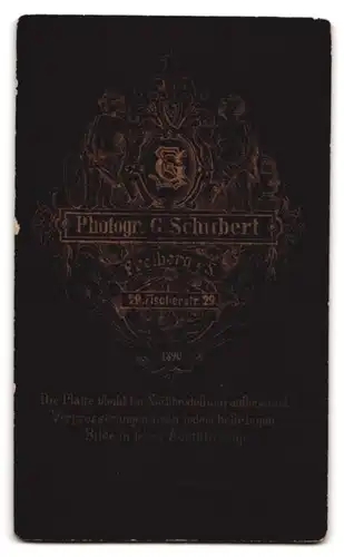 Fotografie C. Schubert, Freiberg, Fischerstr. 29, Junge mit Seitenscheitel in Anzug mit Krawatte