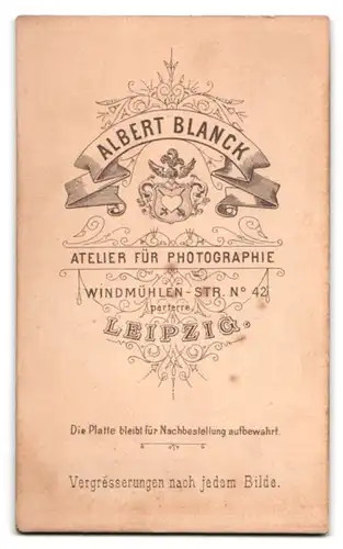 Fotografie Albert Blanck, Leipzig, Windmühlenstr. 42, Junge Frau mit Hochsteckfrisur und Blattbrosche