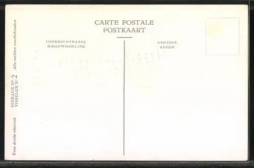 Künstler-AK Hubert Dupond: Duinpieper, Anthus campestris campestis