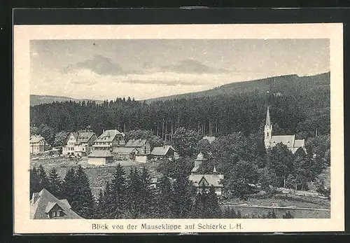 AK Schierke / Harz, Ortsansicht von der Mauseklippe
