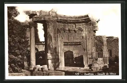 AK Baalbeck, Temple de Vènus