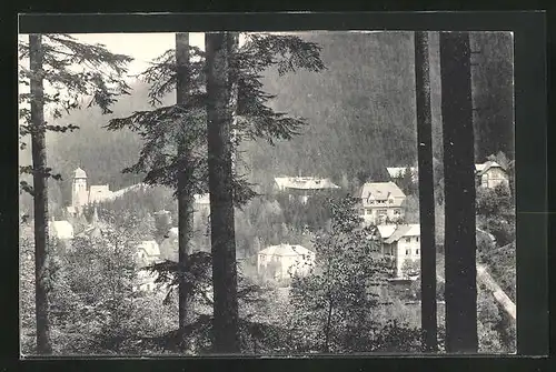 AK Kipsdorf i. sächs. Erzgebirge, Blick vom Wald auf den Ort