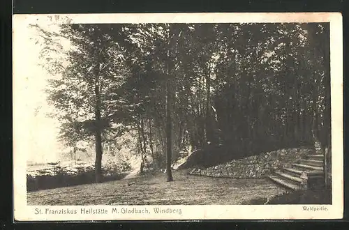 AK Windberg, St. Franziskus Heilstätte M. Gladbach, Waldpartie