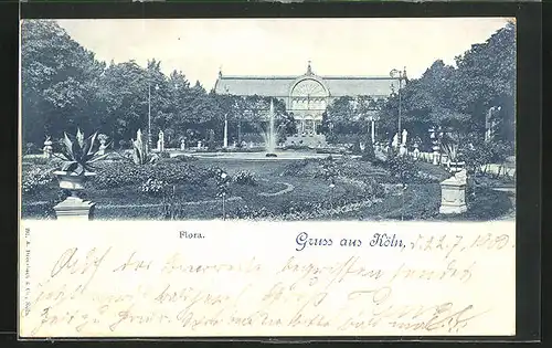 AK Köln a. Rhein, die Flora im Park