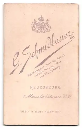 Fotografie G. Schmidbauer, Regensburg, Marschallstrasse 51, Portrait Dame im Kleid mit Brosche und Locken