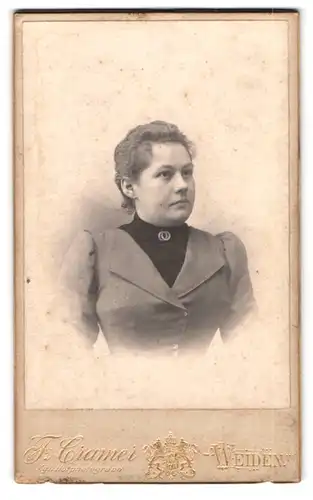 Fotografie F. Cramer, Weiden, Portrait Dame im taillierten Kleid mit Brosche und zurückgebunden Haaren