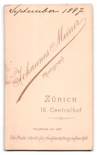 Fotografie Joh. Meiner, Zürich, Centralhof 16, Portrait Herr im Anzug mit Moustache