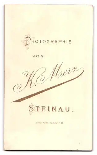 Fotografie K. Merz, Steinau, Portrait kleines Kind im karierten Kleid mit Spitzenkragen