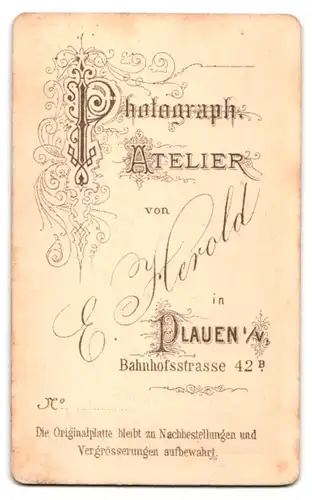 Fotografie E. Herold, Plauen, Bahnhofstrasse 42b, Gestandener Herr mit Scheitel und Vollbart