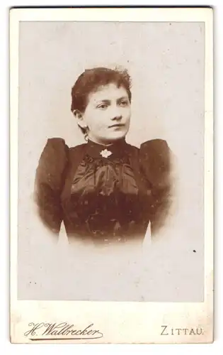 Fotografie H. Wallbrecker, Zittau, Breitestr. 9, Portrait Brünette Dame mit Kragenbrosche im Puffärmelkleid