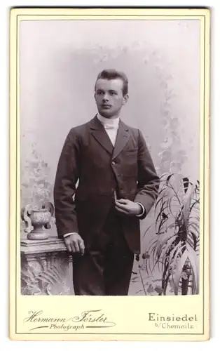 Fotografie Hermann Förster, Einsiedel, junger Mann im Anzug mit Taschenuhrkette