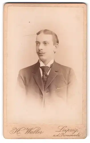 Fotografie H. Walter, Leipzig, an der Promenade, Portrait junger Herr im Anzug mit Krawatte