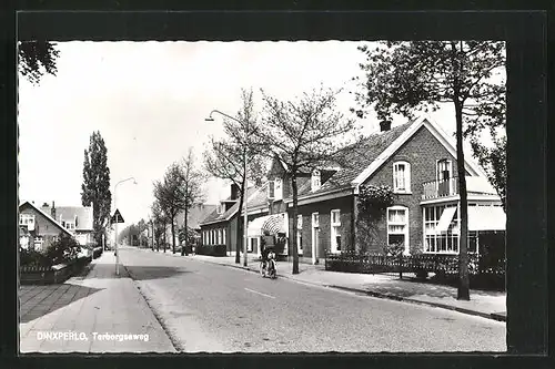 AK Dinxperlo, Terborgseweg, Strassenpartie