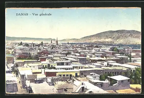 AK Damas, Vue générale