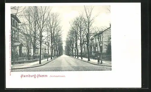 AK Hamburg-Hamm, Jordanstrasse mit Bäumen