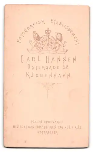 Fotografie Carl Hansen, Kjöbenhavn, Östergade 52, dänische Dame mit Brosche, Halskette & Kreuz-Anhänger