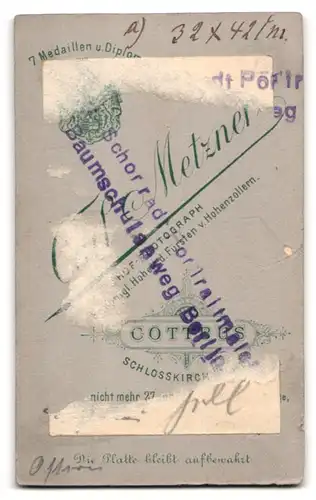 Fotografie Carl Metzner, Cottbus, Schlosskirchplatz 2, Portrait Hausfrau im Sonntagskleid